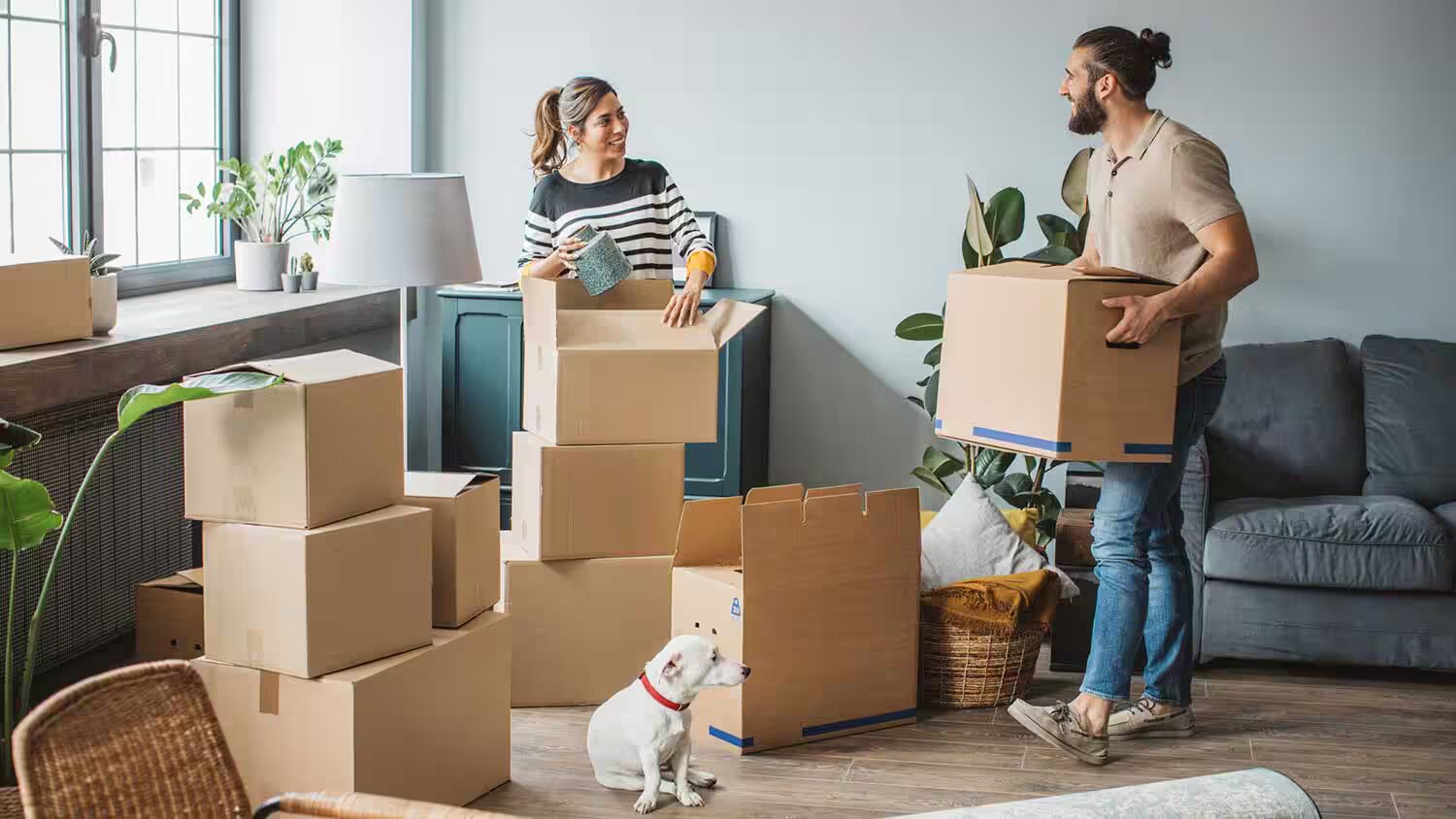 Exploring Careers in Moving Company Sales: A Dynamic Opportunity