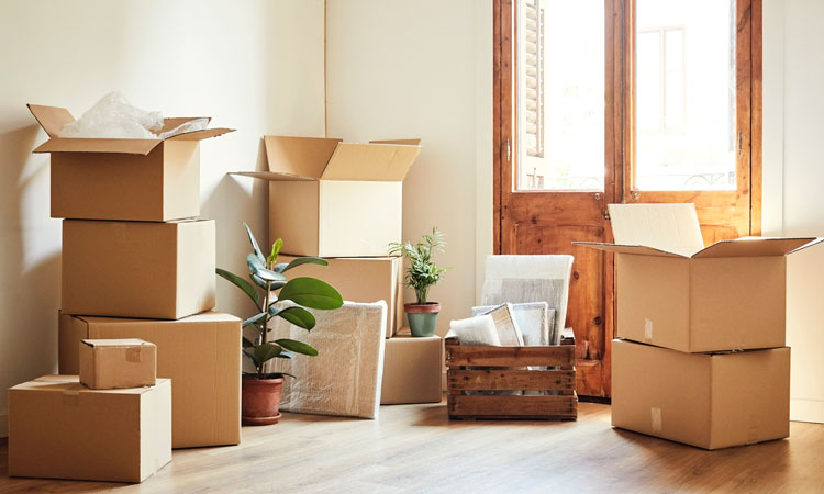 The Ultimate Guide to Moving Services: What You Need to Know